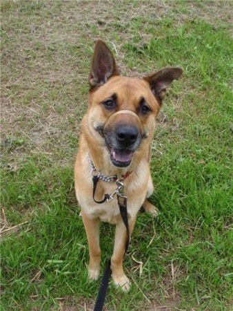 f:id:mamimami_LA:20090518001644j:image