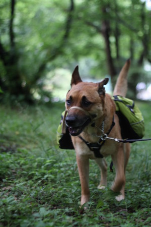 f:id:mamimami_LA:20090605233732j:image