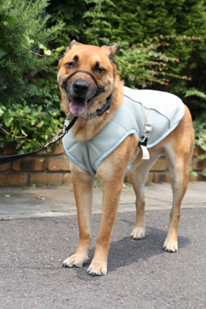 f:id:mamimami_LA:20090613162251j:image f:id:mamimami_LA:20090613162251j:image