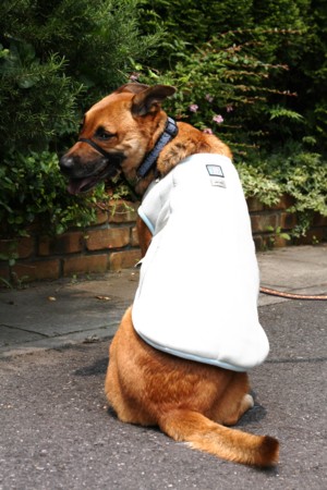 f:id:mamimami_LA:20090613162319j:image f:id:mamimami_LA:20090613162319j:image