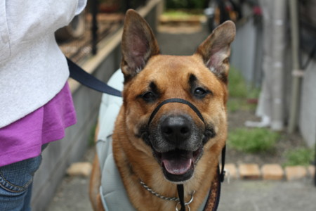 f:id:mamimami_LA:20090613172905j:image f:id:mamimami_LA:20090613172905j:image