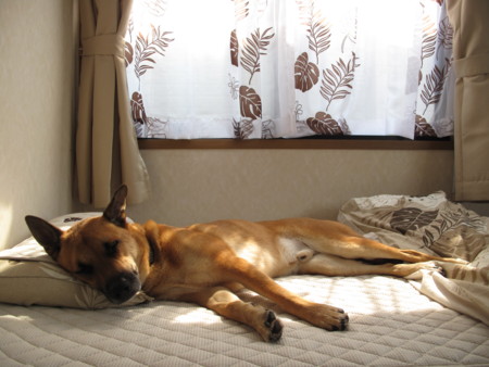 f:id:mamimami_LA:20090616214256j:image f:id:mamimami_LA:20090616214256j:image