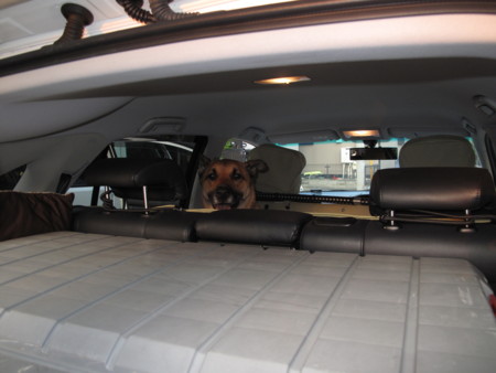 f:id:mamimami_LA:20090626121455j:image