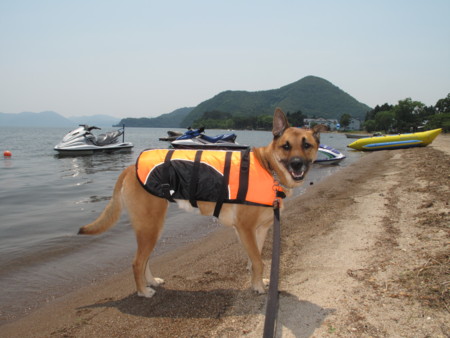 f:id:mamimami_LA:20090626175621j:image