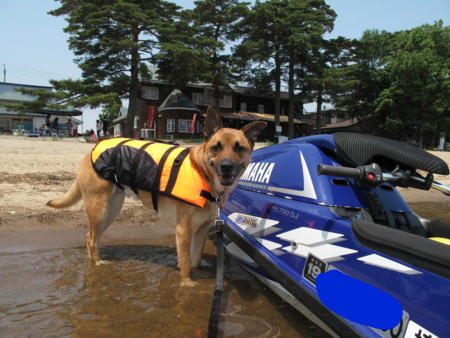 f:id:mamimami_LA:20090626180353j:image