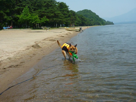 f:id:mamimami_LA:20090627111621j:image