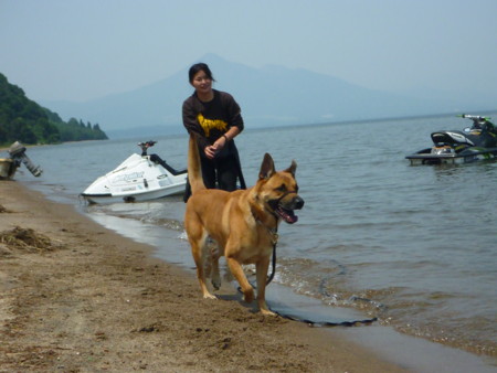 f:id:mamimami_LA:20090627130706j:image