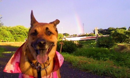 f:id:mamimami_LA:20090727181736j:image f:id:mamimami_LA:20090727181736j:image