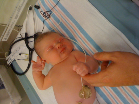 f:id:mamimami_LA:20090729170454j:image f:id:mamimami_LA:20090729170454j:image