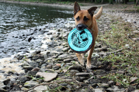 f:id:mamimami_LA:20090904152643j:image f:id:mamimami_LA:20090904152643j:image