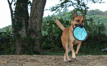 f:id:mamimami_LA:20090904152916j:image f:id:mamimami_LA:20090904152916j:image