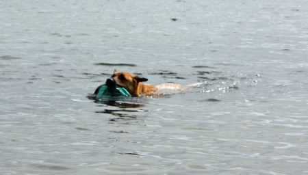 f:id:mamimami_LA:20090904153312j:image f:id:mamimami_LA:20090904153312j:image