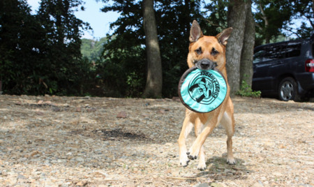 f:id:mamimami_LA:20090904153356j:image f:id:mamimami_LA:20090904153356j:image