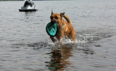 f:id:mamimami_LA:20090904153630j:image f:id:mamimami_LA:20090904153630j:image