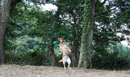 f:id:mamimami_LA:20090904154656j:image f:id:mamimami_LA:20090904154656j:image