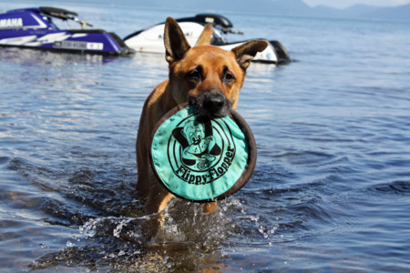 f:id:mamimami_LA:20090904192307j:image f:id:mamimami_LA:20090904192307j:image