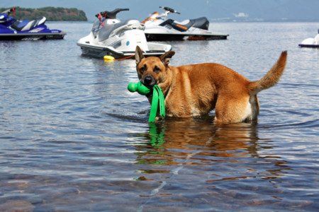 f:id:mamimami_LA:20090904193710j:image f:id:mamimami_LA:20090904193710j:image