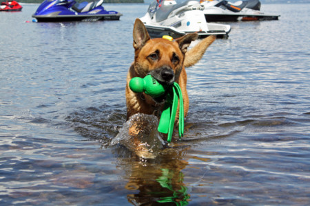 f:id:mamimami_LA:20090904193713j:image f:id:mamimami_LA:20090904193713j:image