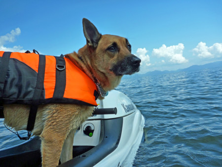 f:id:mamimami_LA:20090905121711j:image f:id:mamimami_LA:20090905121711j:image