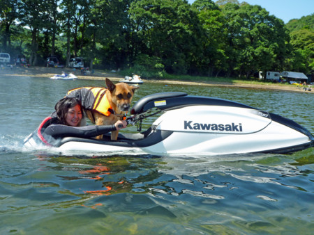 f:id:mamimami_LA:20090905122408j:image