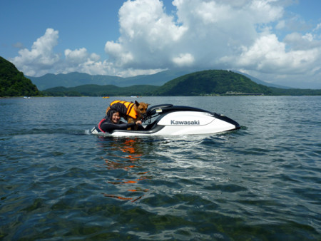 f:id:mamimami_LA:20090905122417j:image f:id:mamimami_LA:20090905122417j:image