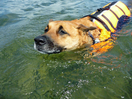 f:id:mamimami_LA:20090905122653j:image f:id:mamimami_LA:20090905122653j:image