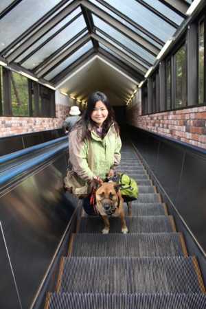 f:id:mamimami_LA:20091022185158j:image f:id:mamimami_LA:20091022185158j:image