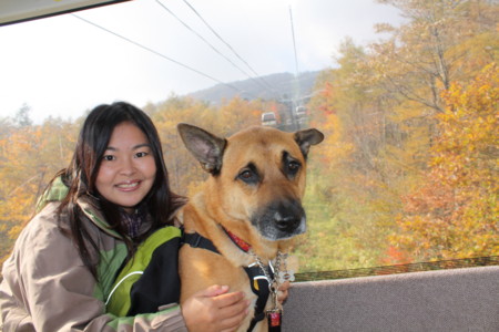 f:id:mamimami_LA:20091022185720j:image f:id:mamimami_LA:20091022185720j:image