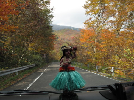 f:id:mamimami_LA:20091022193335j:image f:id:mamimami_LA:20091022193335j:image