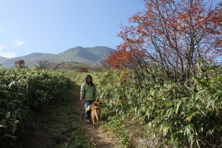 f:id:mamimami_LA:20091022195640j:image f:id:mamimami_LA:20091022195640j:image