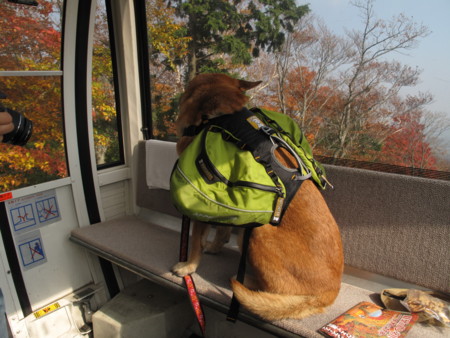 f:id:mamimami_LA:20091022195642j:image f:id:mamimami_LA:20091022195642j:image