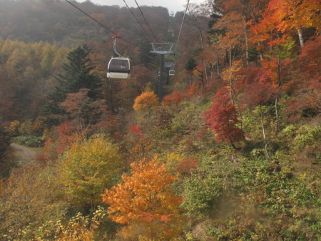 f:id:mamimami_LA:20091022195722j:image f:id:mamimami_LA:20091022195722j:image