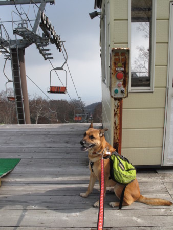 f:id:mamimami_LA:20091022201924j:image f:id:mamimami_LA:20091022201924j:image