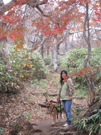 f:id:mamimami_LA:20091022203624j:image f:id:mamimami_LA:20091022203624j:image