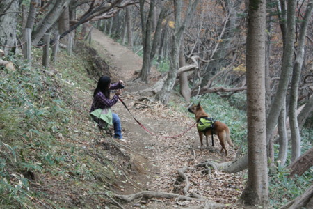 f:id:mamimami_LA:20091022205853j:image f:id:mamimami_LA:20091022205853j:image