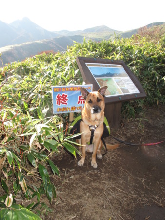 f:id:mamimami_LA:20091022210553j:image f:id:mamimami_LA:20091022210553j:image