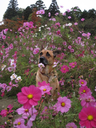 f:id:mamimami_LA:20091023134239j:image f:id:mamimami_LA:20091023134239j:image