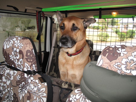 f:id:mamimami_LA:20091023143816j:image f:id:mamimami_LA:20091023143816j:image