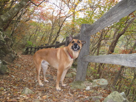 f:id:mamimami_LA:20091023154439j:image f:id:mamimami_LA:20091023154439j:image