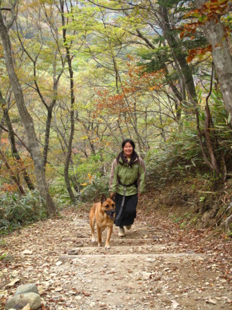 f:id:mamimami_LA:20091023162254j:image f:id:mamimami_LA:20091023162254j:image