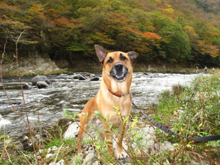 f:id:mamimami_LA:20091023163911j:image f:id:mamimami_LA:20091023163911j:image