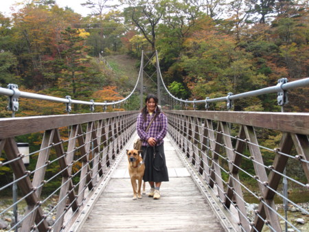 f:id:mamimami_LA:20091023170016j:image f:id:mamimami_LA:20091023170016j:image