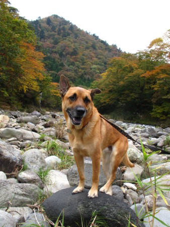 f:id:mamimami_LA:20091023175009j:image f:id:mamimami_LA:20091023175009j:image