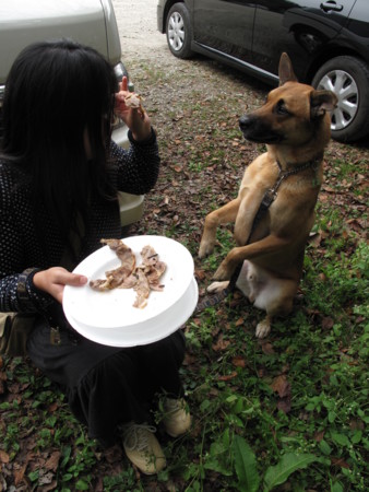 f:id:mamimami_LA:20091023201335j:image f:id:mamimami_LA:20091023201335j:image