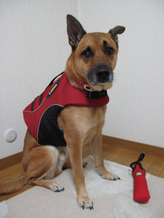 f:id:mamimami_LA:20091202182915j:image