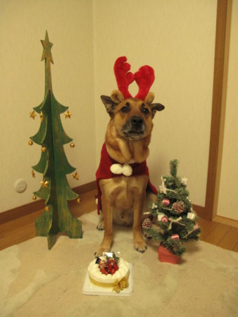 f:id:mamimami_LA:20091223050102j:image f:id:mamimami_LA:20091223050102j:image