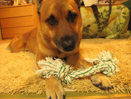 f:id:mamimami_LA:20091223205719j:image f:id:mamimami_LA:20091223205719j:image