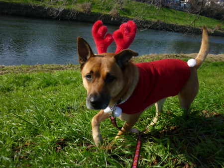 f:id:mamimami_LA:20091224101450j:image f:id:mamimami_LA:20091224101450j:image