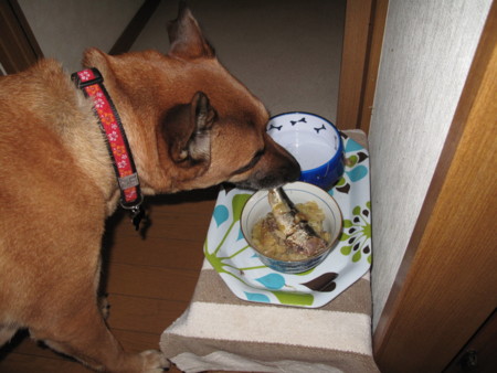 f:id:mamimami_LA:20091229175600j:image