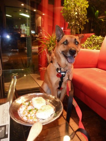 f:id:mamimami_LA:20100121183400j:image